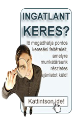 Emailes ajánlatot küldünk, részletes keresési feltételei szerint