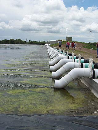 Baktériumok elpusztítása az ivóvízből | www.cleanwater.hu - víztisztítók - zuhanyszűrők - levegőszűrők